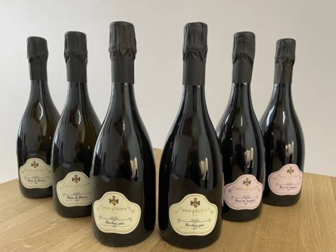 taste.love.riesling Probierpaket III (Schloss Sommerhausen) (12.-21.06.2025)